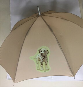 _VAips[j P 65cm a110cm fB[X Y jp JP 킢  ~J CObY UVJbg ɋ ϕ   ObY vg