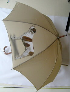 Zgo[i[hiPj P 65cm a110cm fB[X Y jp JP 킢  ~J CObY UVJbg ɋ ϕ   ObY vg