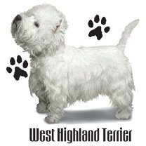 楽天市場】ウェスティ 犬（犬用品｜ペット・ペットグッズ）の通販 