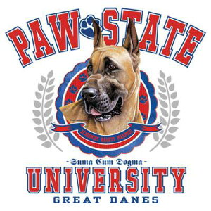 O[gf[ O[gf ijoj fObY P 65cm a110cm fB[X Y jp JP 킢  ~J CObY UVJbg ɋ ϕ   ObY 