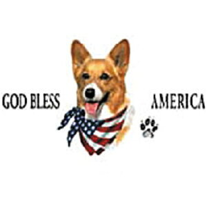 R[M[ io_ij R[M[ObY P 65cm a110cm fB[X Y jp JP 킢  ~J CObY UVJbg ɋ ϕ   ObY vg