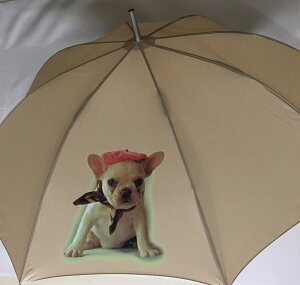 t`uhbO tuips[j^b` Jp tuObY P 65cm a110cm fB[X Y jp JP 킢  ~J CObY UVJbg ɋ ϕ
