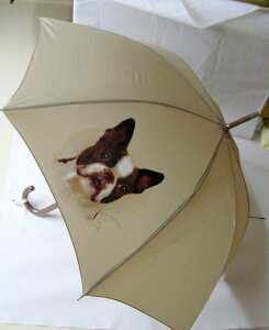 ボストンテリア(NEW) 傘 65cm 直径110cm レディース メンズ 男女兼用 雨傘 かわいい おしゃれ 梅雨 レイングッズ UVカット 風に強い 耐風 犬柄 いぬ 犬グッズ 犬プリント