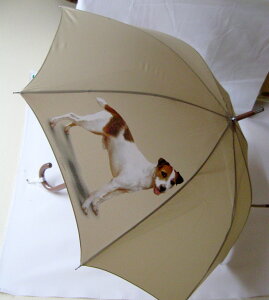 WbNbZeAiPj P 65cm a110cm fB[X Y jp JP 킢  ~J CObY UVJbg ɋ ϕ   ObY vg
