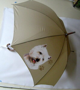 EGXgnChzCgeA EGXeB[ in[gj EGXeB[ObY P 65cm a110cm fB[X Y jp JP 킢  ~J CObY UVJbg ɋ 