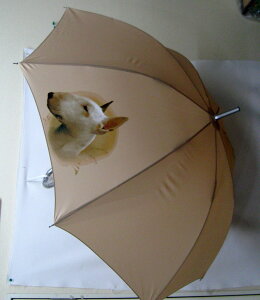 ueAiNEWj P 65cm a110cm fB[X Y jp JP 킢  ~J CObY UVJbg ɋ ϕ   ObY vg