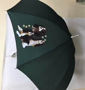 キャバリア(集合2) 傘 65cm 直径110cm レディース メンズ 男女兼用 雨傘 かわいい おしゃれ 梅雨 レイングッズ UVカット 風に強い 耐風 犬柄 いぬ 犬グッズ 犬プリント