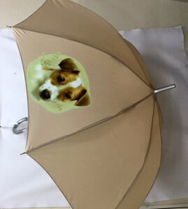 WbNbZeAiNEWj P 65cm a110cm fB[X Y jp JP 킢  ~J CObY UVJbg ɋ ϕ   ObY vg