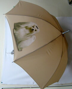 }`[YiPj P 65cm a110cm fB[X Y jp JP 킢  ~J CObY UVJbg ɋ ϕ   ObY vg