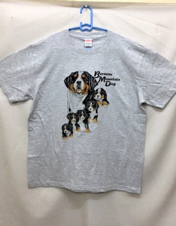 楽天市場】バーニーズマウンテンドッグ (集合R-51) tシャツ 半袖 