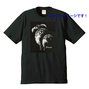 |jA (VGbg) tVc  Jbg\[ ێ^ N[lbN 100% gbvX fB[X Y Vv 킢  Cxg  hbO    vg 