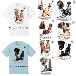  tVc Iׂ^V[Y F O[gf W[}|C^[ ubhnEh u}XeBt sbgu bgC[ C}i[ Jbg\[ N[lbN 100% 