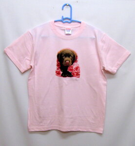 uh[g[oEg[o[(`R[g) tVc  Jbg\[ ێ^ N[lbN 100% gbvX fB[X Y Vv 킢  Cxg  hbO