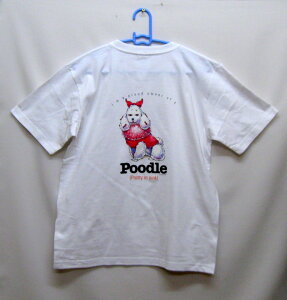 v[h tVc  Jbg\[ ێ^ N[lbN 100% gbvX fB[X Y Vv 킢  Cxg  hbO    vg  ObY