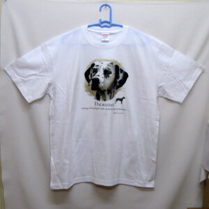 _VA tVc  Jbg\[ ێ^ N[lbN 100% gbvX fB[X Y Vv 킢  Cxg  hbO    vg  Ob