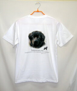 j[t@hh tVc  Jbg\[ ێ^ N[lbN 100% gbvX fB[X Y Vv 킢  Cxg  hbO    vg 