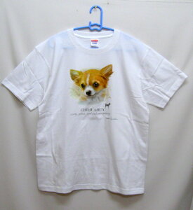 `(NEW) tVc  Jbg\[ ێ^ N[lbN 100% gbvX fB[X Y Vv 킢  Cxg  hbO    vg  ObY