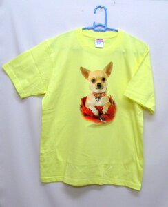 ` (CobO) tVc  Jbg\[ ێ^ N[lbN 100% gbvX fB[X Y Vv 킢  Cxg  hbO    vg  