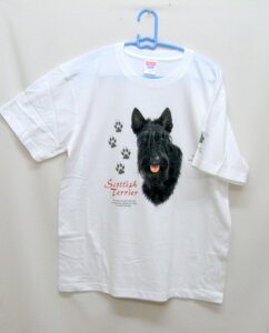 XRebVeA (H-70) tVc  Jbg\[ ێ^ N[lbN 100% gbvX fB[X Y Vv 킢  Cxg  hbO    vg 