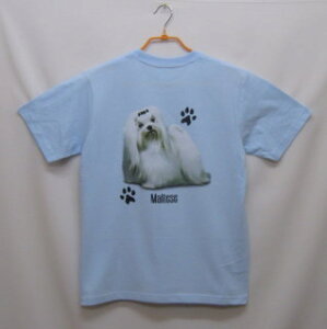 }`[Y (P-78) tVc  Jbg\[ ێ^ N[lbN 100% gbvX fB[X Y Vv 킢  Cxg  hbO    vg  O