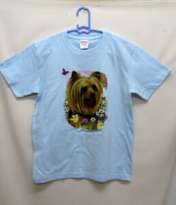 [NV[eA () tVc  Jbg\[ ێ^ N[lbN 100% gbvX fB[X Y Vv 킢  Cxg  hbO    vg 