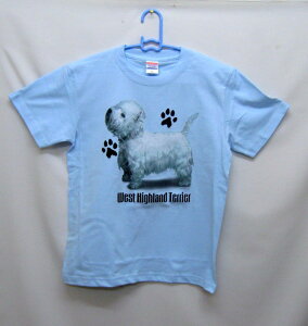 EGXeB[ (P-50) EGXgnChzCgeA tVc  Jbg\[ ێ^ N[lbN 100% gbvX fB[X Y Vv 킢  Cxg  hbO