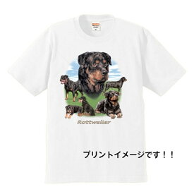 ロットワイラー(集合1) tシャツ 半袖 カットソー 丸首型 クルーネック 綿100% トップス レディース メンズ シンプル かわいい おしゃれ イベント お揃い ドッグ 犬 犬柄 いぬ 犬プリント 犬種別 犬グッズ 母の日