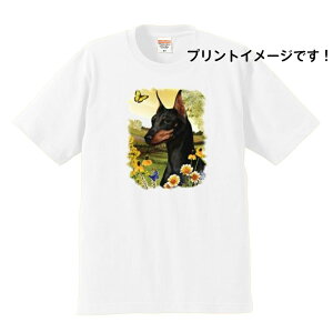 ~j`AsV[ () tVc  Jbg\[ ێ^ N[lbN 100% gbvX fB[X Y Vv 킢  Cxg  hbO    vg 