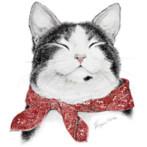 Lbg (o_iLbg) L lR tVc  Jbg\[ ێ^ N[lbN 100% gbvX fB[X Y Vv 킢  Cxg   I[i[ObY I