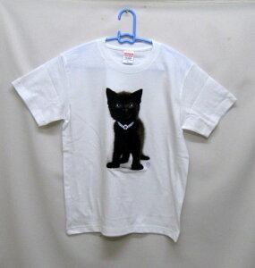 Lbg NlR lR L Lg ubNLbg tVc  Jbg\[ ێ^ N[lbN 100% gbvX fB[X Y Vv 킢  Cxg   I