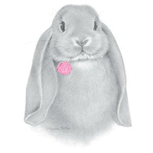 ETM (Gsc) rbg tVc  Jbg\[ ێ^ N[lbN 100% gbvX fB[X Y Vv 킢  Cxg   I[i[ObY It