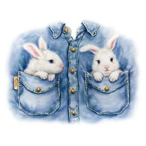 ETM (08|L) rbg tVc  Jbg\[ ێ^ N[lbN 100% gbvX fB[X Y Vv 킢  Cxg   I[i[ObY It