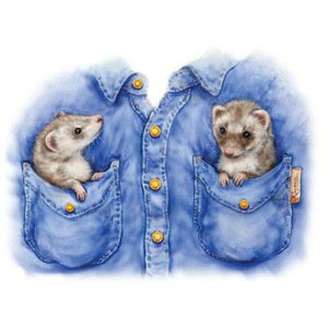 tFbg (03|L)  tVc  Jbg\[ ێ^ N[lbN 100% gbvX fB[X Y Vv 킢  Cxg   I[i[ObY It