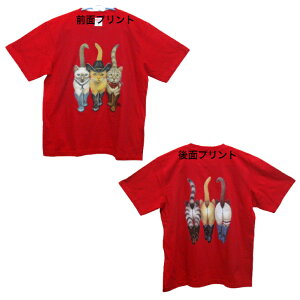 L Lbg lR Ovg cat Lg Kitten LObY tVc  Jbg\[ ێ^ N[lbN 100% gbvX fB[X Y Vv 킢  Cxg   