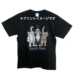 L Lbg lR Ovg cat Lg Kitten LObY tVc  Jbg\[ ێ^ N[lbN 100% gbvX fB[X Y Vv 킢  Cxg   