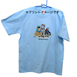 L Lbg lR Ovg cat Lg Kitten LObY tVc  Jbg\[ ێ^ N[lbN 100% gbvX fB[X Y Vv 킢  Cxg   