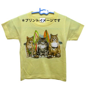 L Lbg lR Ovg cat Lg Kitten LObY tVc  Jbg\[ ێ^ N[lbN 100% gbvX fB[X Y Vv 킢  Cxg   