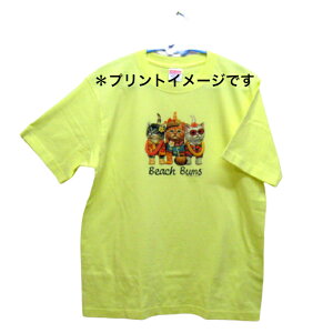 L Lbg lR Ovg cat Lg Kitten LObY tVc  Jbg\[ ێ^ N[lbN 100% gbvX fB[X Y Vv 킢  Cxg   