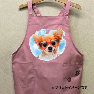 ` J[ Gv obNNX X^ |  킢 ۈm [NGv   hbO  Ck  I[i[ObY vg Mtg LOi G It 