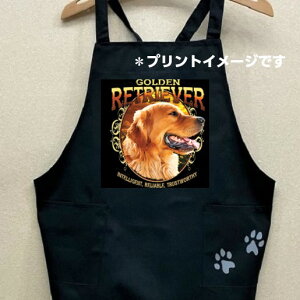 S[fgo[ g[o[ J[ Gv obNNX X^ |  킢 ۈm [NGv   hbO  Ck  I[i[ObY vg 