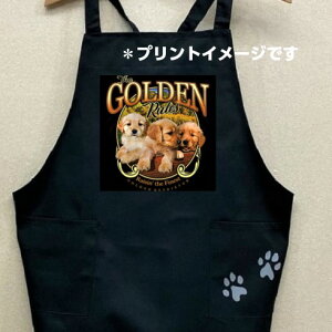 S[fgo[ g[o[ ps[ J[ Gv obNNX X^ |  킢 ۈm [NGv   hbO  Ck  I[i[ObY v