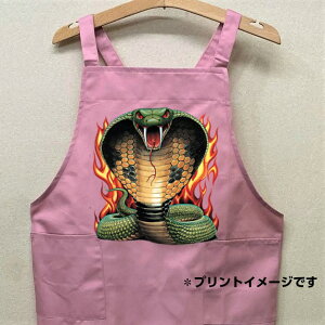 Ru ւ  wr ঒ J[ Gv obNNX X^ |  킢 ۈm [NGv   I[i[ObY vg Mtg LOi G It 