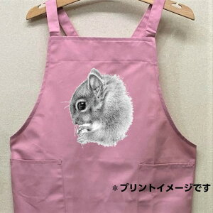 X 肷 M J[ Gv obNNX X^ |  킢 ۈm [NGv    쐶 I[i[ObY vg Mtg LOi G I