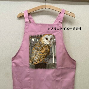 tNE ӂ낤  tNE ҋח  J[ Gv obNNX X^ |  킢 ۈm [NGv   쐶 I[i[ObY vg 