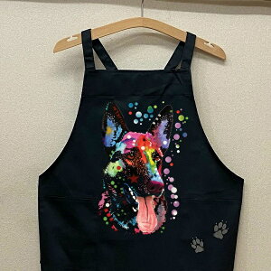 W[}VFp[h Gv J[ Gv ilI2j obNNX X^ |  킢 ۈm [NGv   hbO  Ck  I[i[ObY v