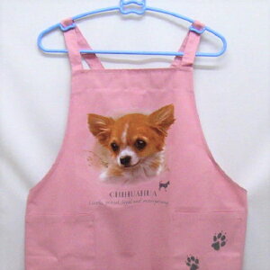 ` J[ GviNEWj obNNX X^ |  킢 ۈm [NGv   hbO  Ck  I[i[ObY vg Mtg LOi G I