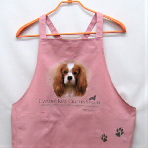 LoA J[ GviNEWj obNNX X^ |  킢 ۈm [NGv   hbO  Ck  I[i[ObY vg Mtg LOi G