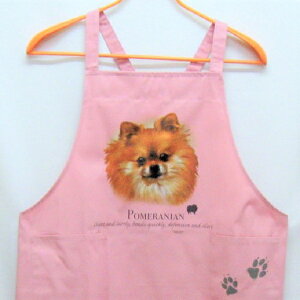 |jA J[ GviNEWj obNNX X^ |  킢 ۈm [NGv   hbO  Ck  I[i[ObY vg Mtg LOi 