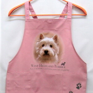 EGXeB[ J[ GviNEWj obNNX X^ |  킢 ۈm [NGv   hbO  Ck  I[i[ObY vg Mtg LOi 