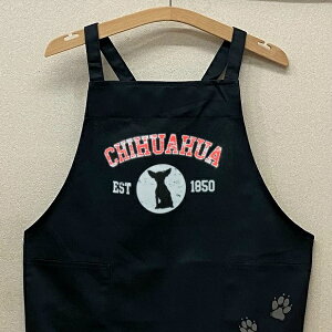 ` J[ GviVGbg) obNNX X^ |  킢 ۈm [NGv   hbO  Ck  I[i[ObY vg Mtg LOi 